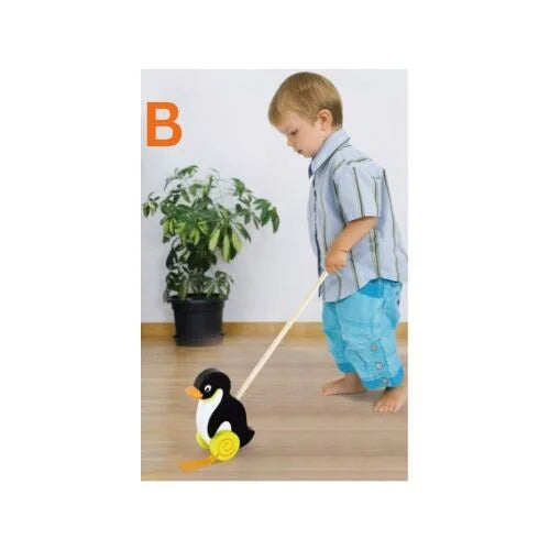 Wooden Push Toy